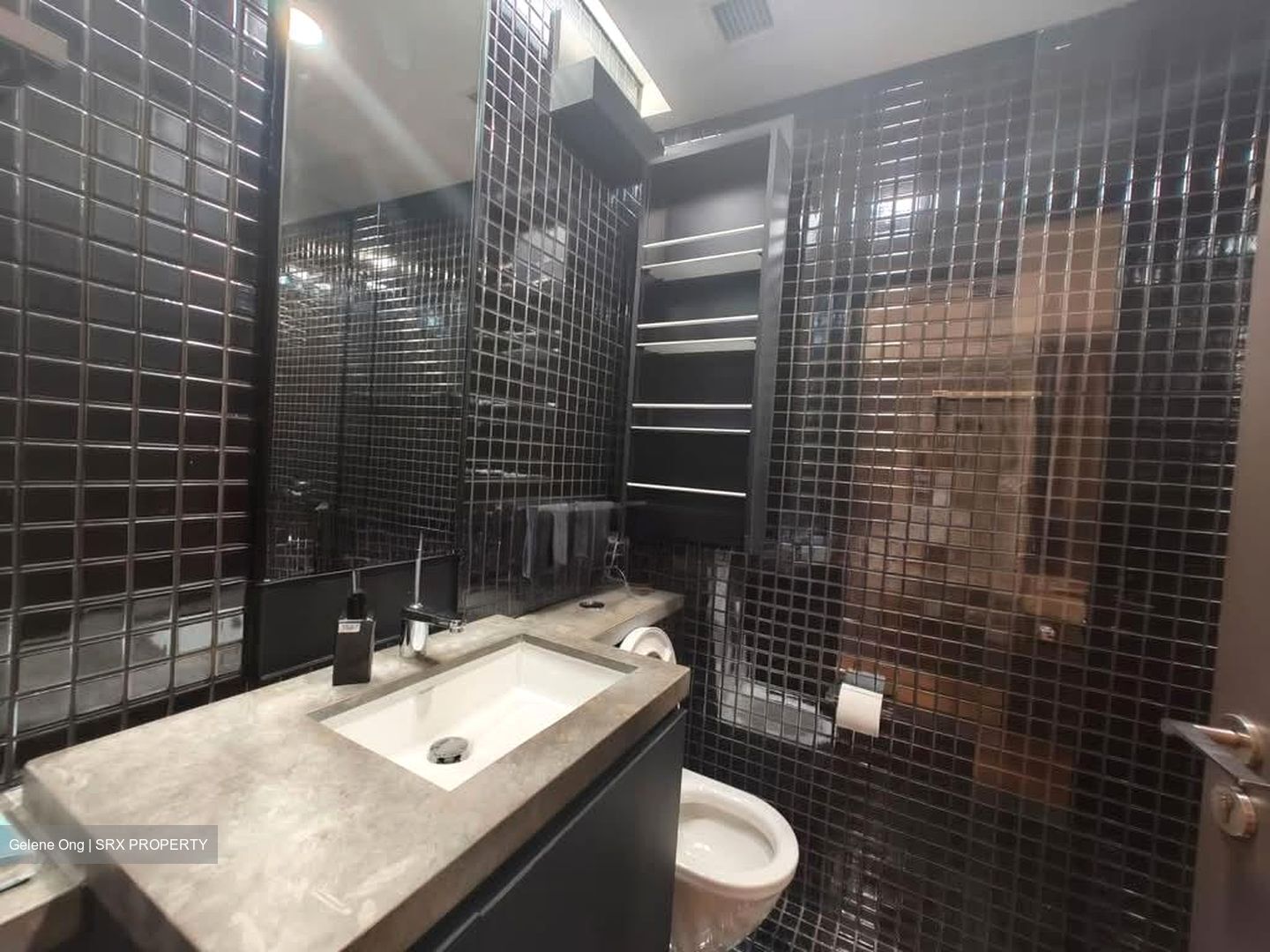 Skysuites@Anson (D2), Apartment #563513781